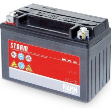 FIAMM MotoEnergy Storm AGM FTZ14S-12B